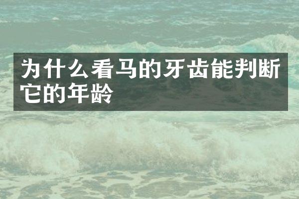 为什么看马的牙齿能判断它的年龄