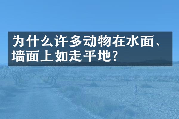 为什么许多动物在水面、墙面上如走平地？
