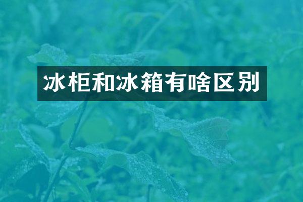 冰柜和冰箱有啥区别