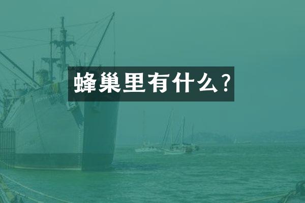 蜂巢里有什么?