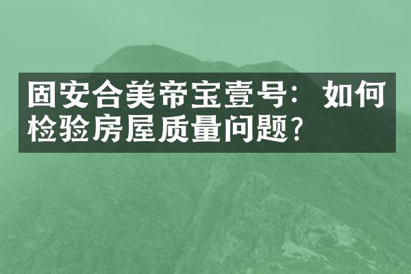 固安合美帝宝壹号：如何检验房屋质量问题？
