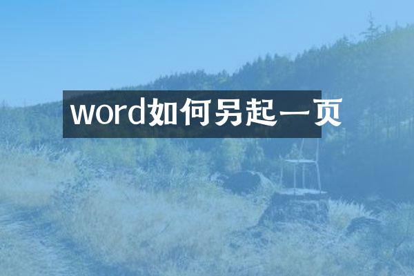 word如何另起一页