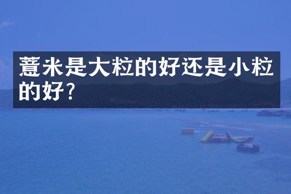薏米是大粒的好还是小粒的好?