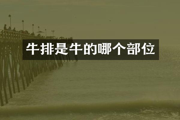 牛排是牛的哪个部位