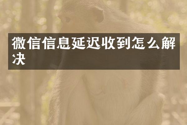 微信信息延迟收到怎么解决