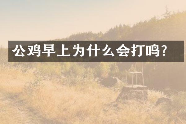 公鸡早上为什么会打鸣？