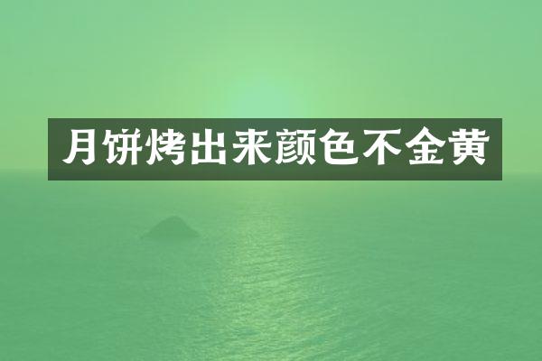月饼烤出来颜色不金黄