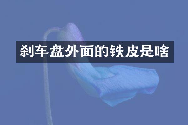 刹车盘外面的铁皮是啥