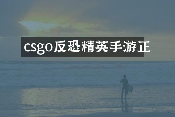 csgo反恐精英手游正