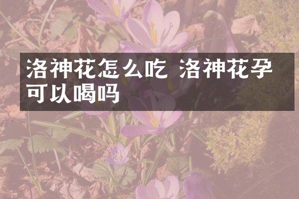 洛神花怎么吃 洛神花孕妇可以喝吗