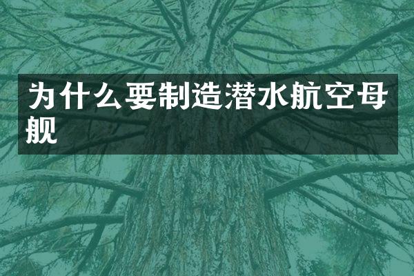 为什么要制造潜水航空母舰