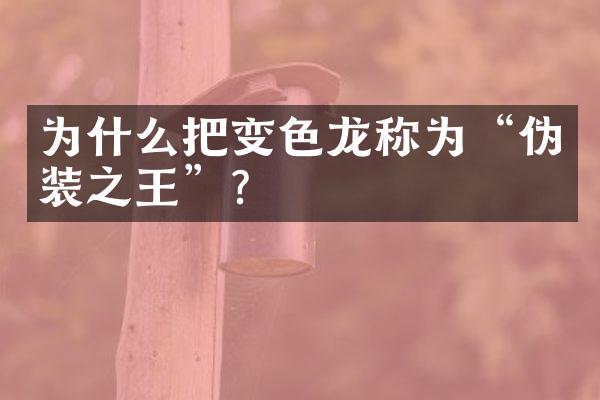 为什么把变色龙称为“伪装之王”？