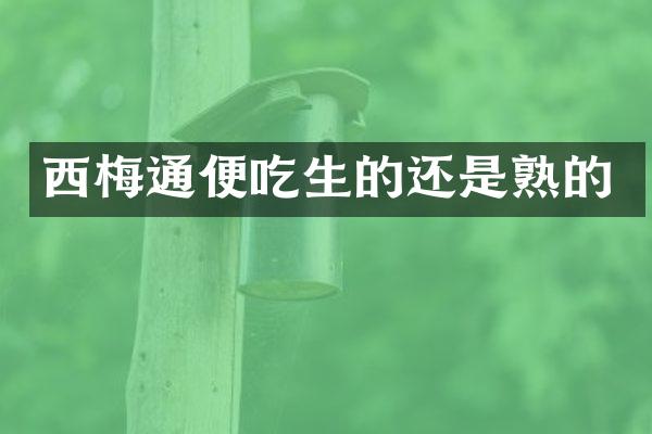 西梅通便吃生的还是熟的