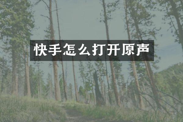 快手怎么打开原声