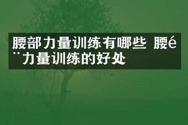 腰部力量训练有哪些 腰部力量训练的好处