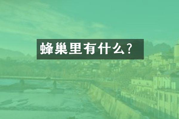 蜂巢里有什么？