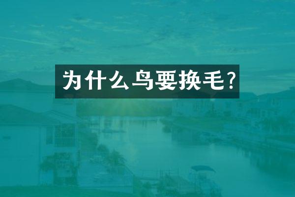 为什么鸟要换毛?