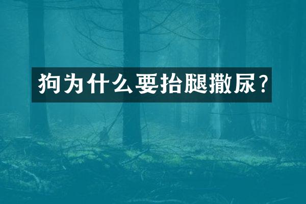 狗为什么要抬腿撒尿?