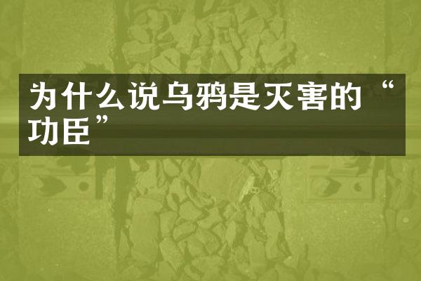 为什么说乌鸦是灭害的“功臣”