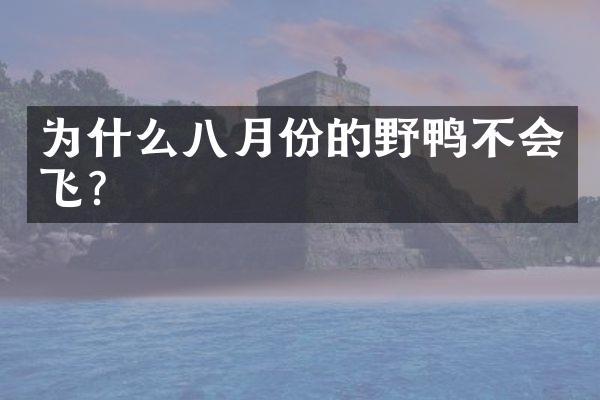 为什么八月份的野鸭不会飞?