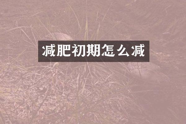 减肥初期怎么减