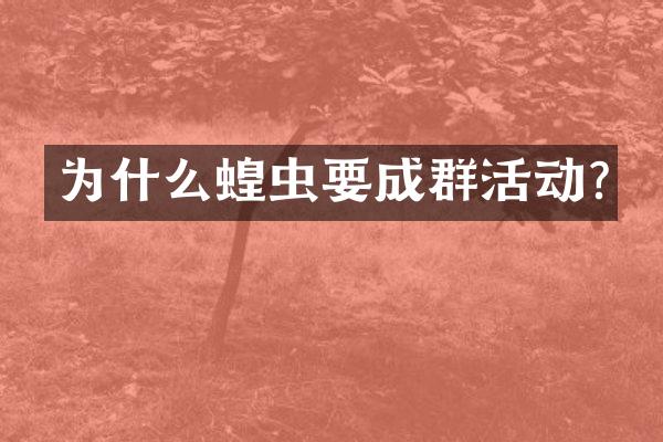 为什么蝗虫要成群活动?