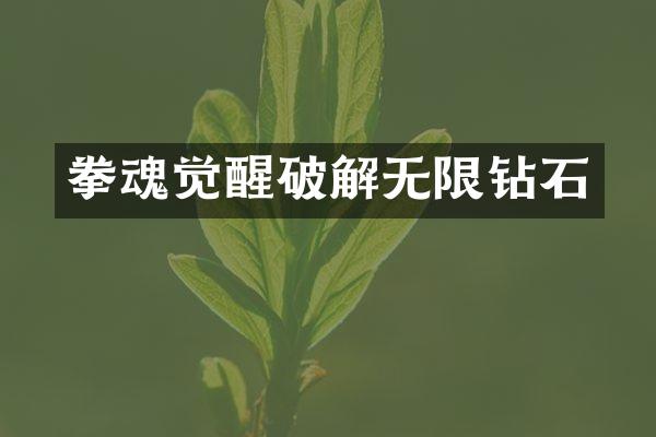 拳魂觉醒破解无限钻石