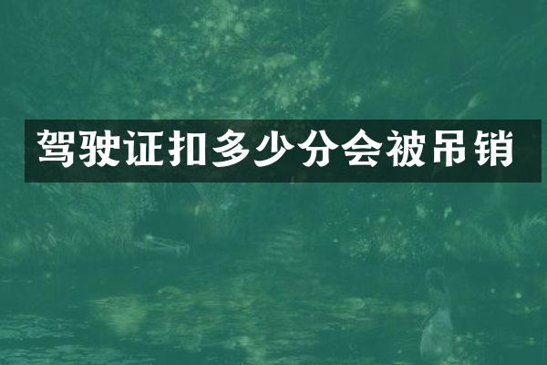 驾驶证扣多少分会被吊销