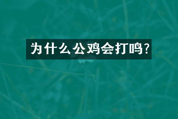 为什么公鸡会打鸣?