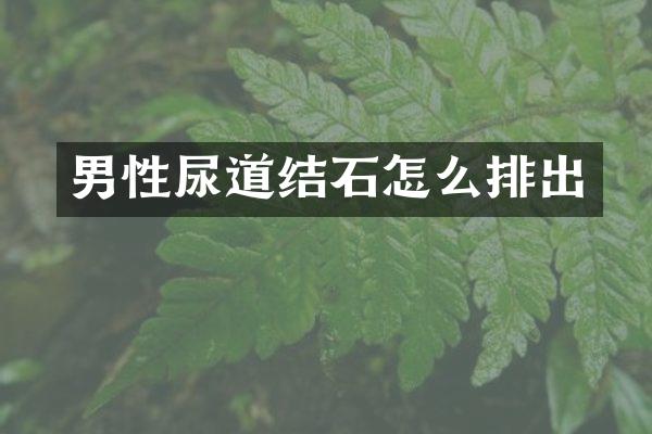 男性尿道结石怎么排出