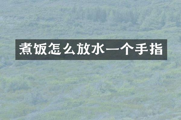 煮饭怎么放水一个手指
