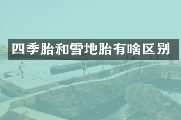 四季胎和雪地胎有啥区别
