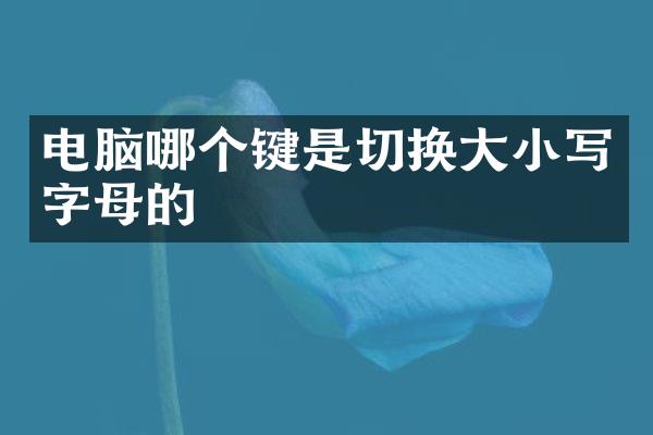 电脑哪个键是切换大小写字母的