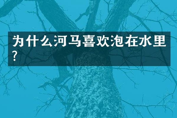 为什么河马喜欢泡在水里?