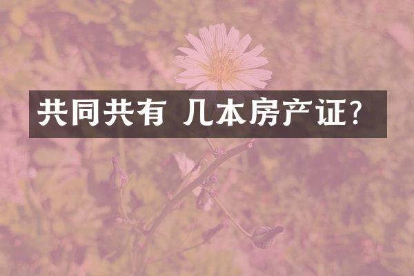 共同共有 几本房产证？