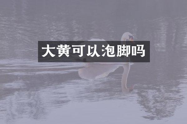大黄可以泡脚吗
