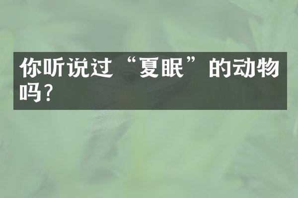 你听说过“夏眠”的动物吗？