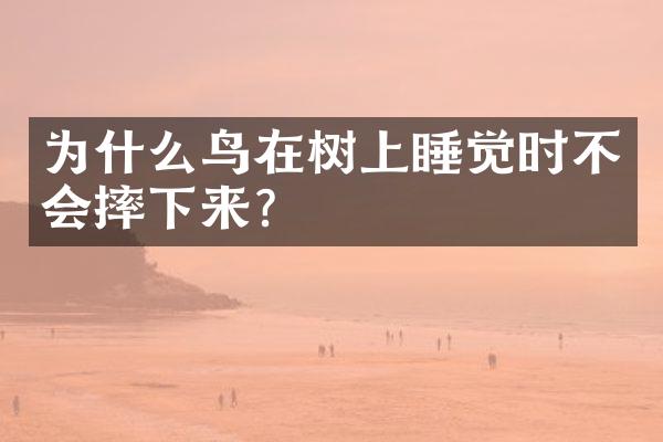 为什么鸟在树上睡觉时不会摔下来?