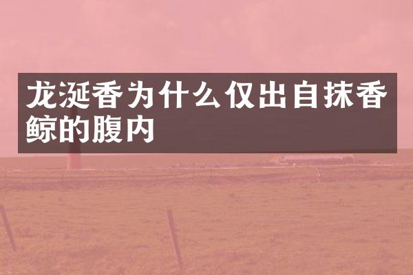 龙涎香为什么仅出自抹香鲸的腹内