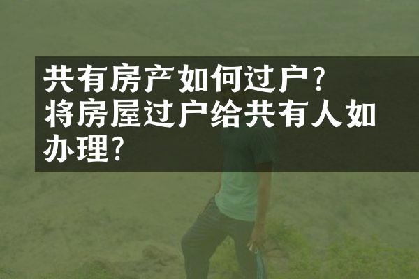 ﻿﻿共有房产如何过户？将房屋过户给共有人如何办理?