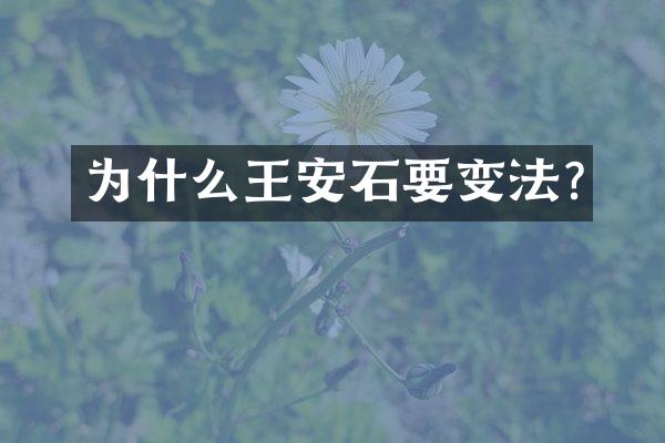 为什么王安石要变法?