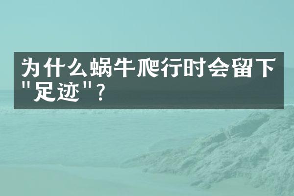 为什么蜗牛爬行时会留下"足迹"?