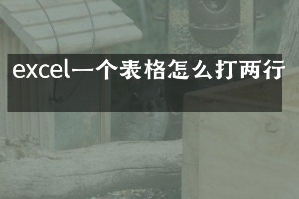 excel一个表格怎么打两行字