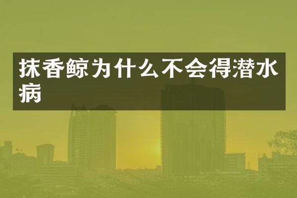 抹香鲸为什么不会得潜水病