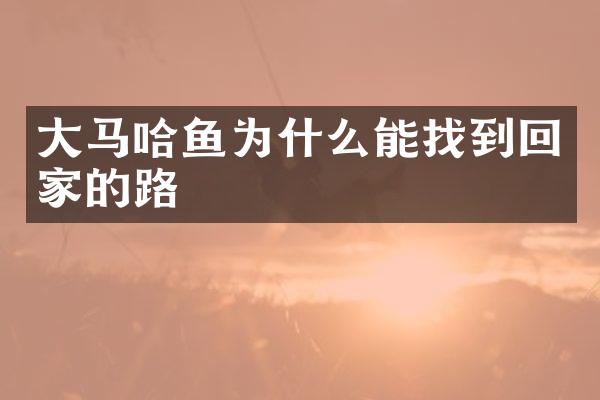 大马哈鱼为什么能找到回家的路