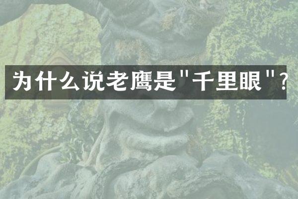 为什么说老鹰是"千里眼"?