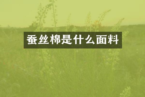 蚕丝棉是什么面料