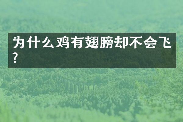 为什么鸡有翅膀却不会飞?