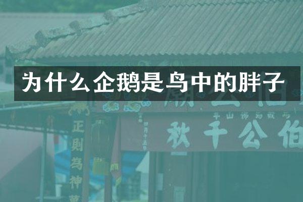 为什么企鹅是鸟中的胖子