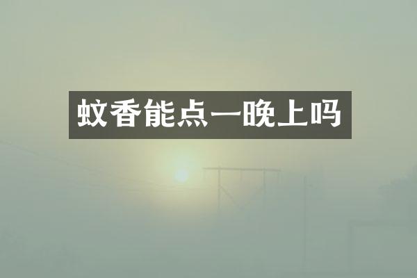 蚊香能点一晚上吗